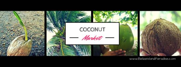 How we use Coconuts everyday!