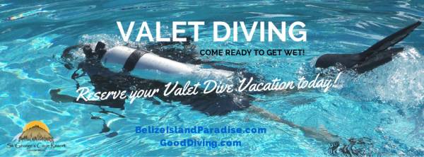 Valet Diving :: A Unique Belize Diving Experience