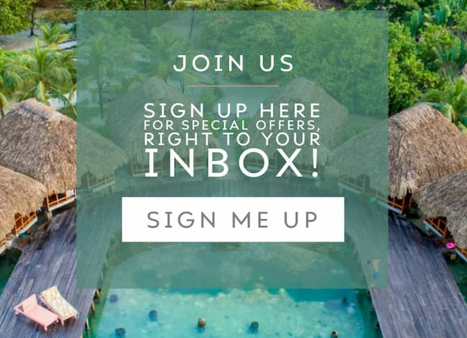 Email Signup