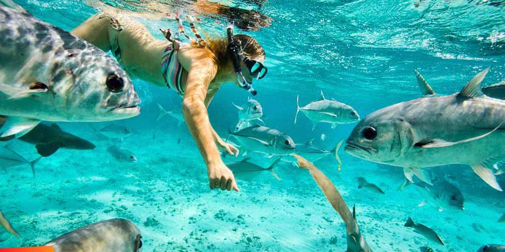 Snorkel in Belize at our Beach Resort