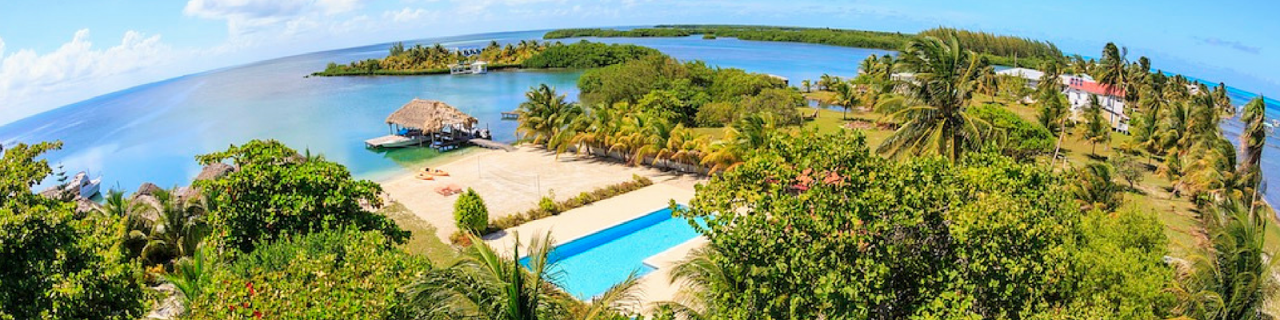 View of St. George's Caye from above the palm trees