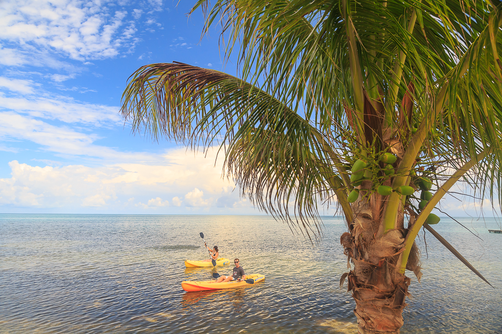 kayak caribbean sea belize